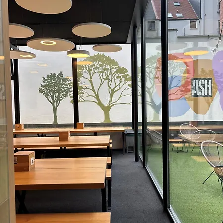 Auberge de jeunesse The Ash *